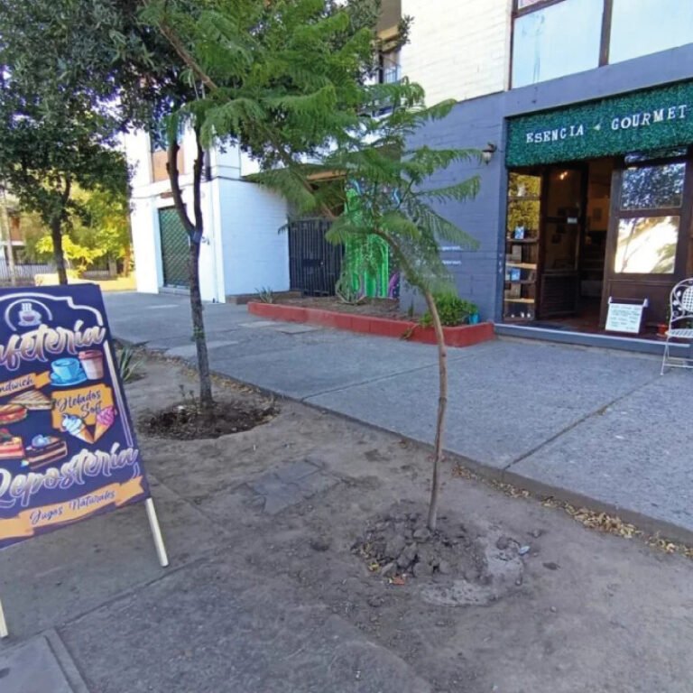 Esencia Gourmet